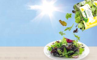 Design d'emballage pour Bonduelle Food Service  I ASK Marketing